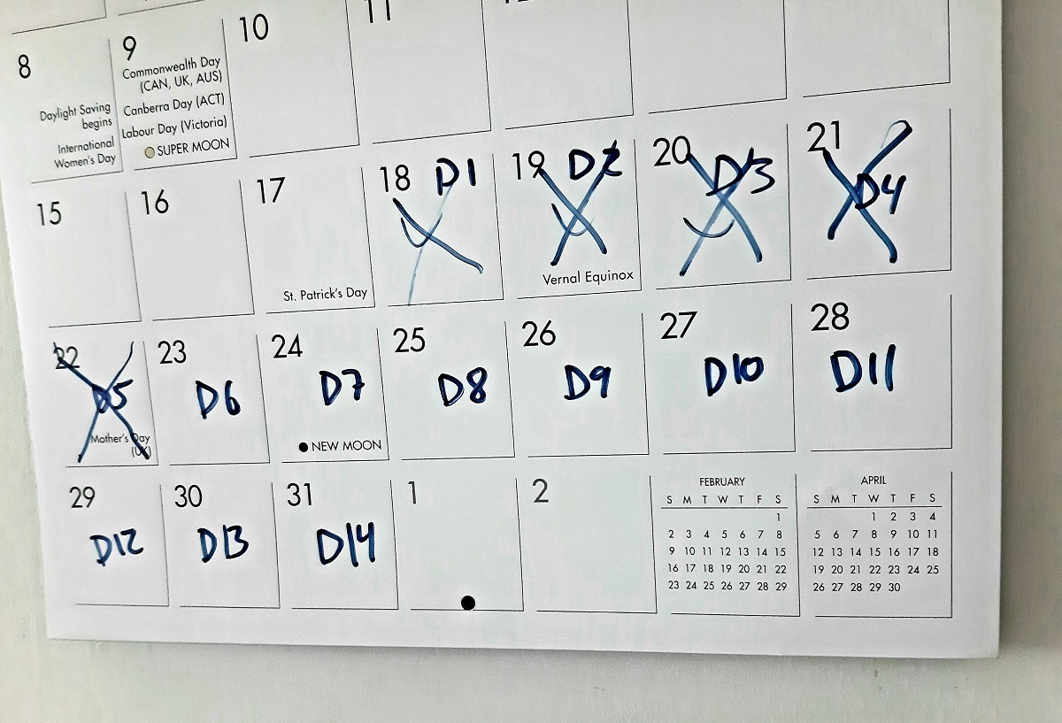 Wall calendar with days crossed out