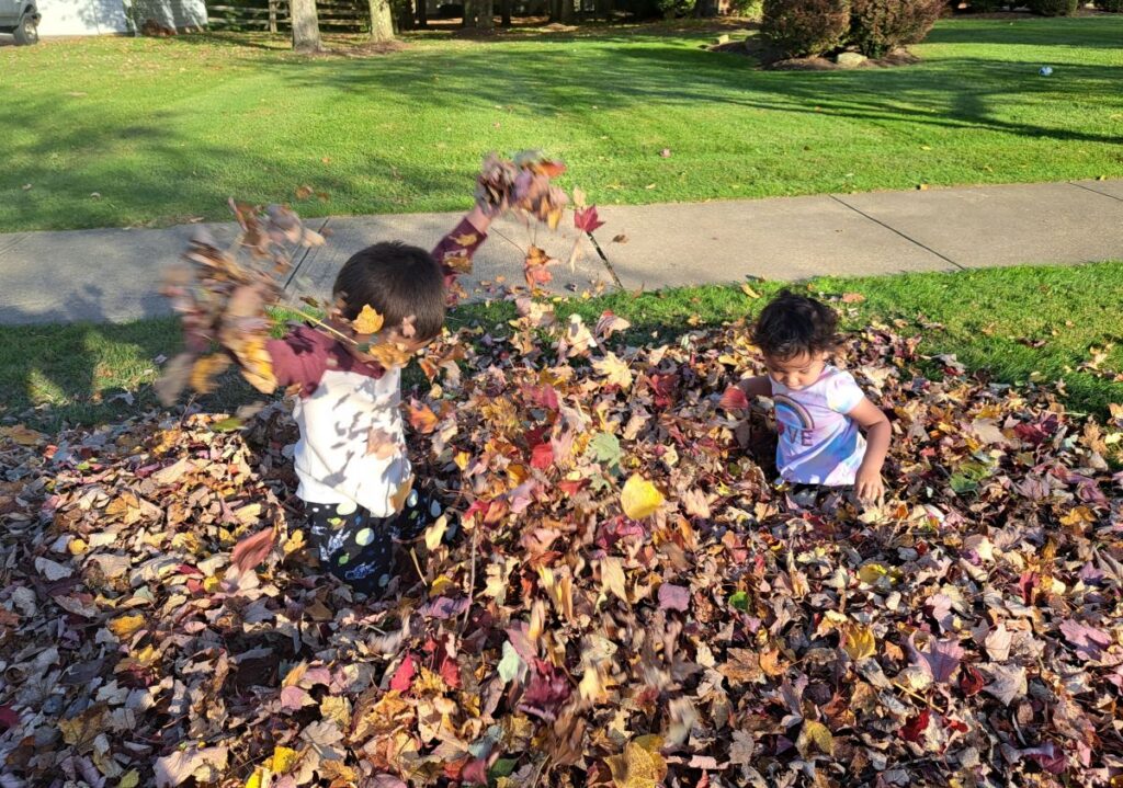 kids playing in a leaf pile